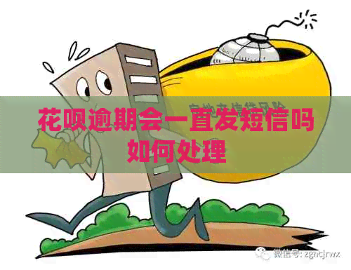 白条逾期会一直发短信吗如何处理