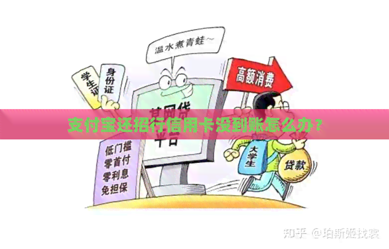 支付宝还招行信用卡没到账怎么办？