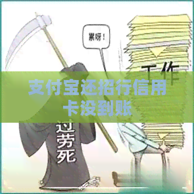 支付宝还招行信用卡没到账