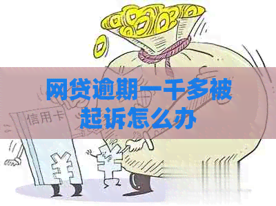 网贷逾期一千多被起诉怎么办