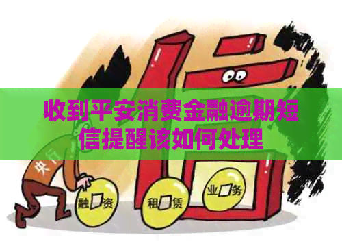 收到平安消费金融逾期短信提醒该如何处理