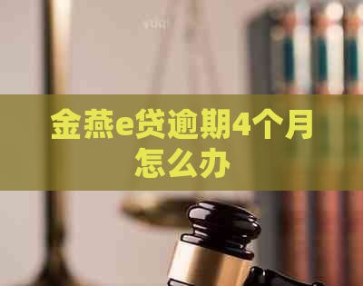 金燕e贷逾期4个月怎么办