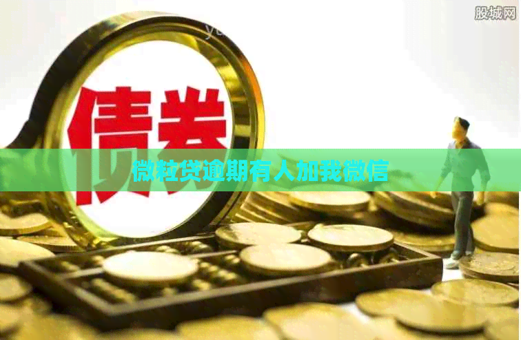 微粒贷逾期有人加我微信