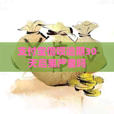信用卡信用卡逾期30天后果严重吗