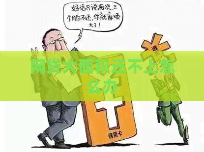 网贷大面积还不上怎么办
