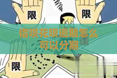 信用卡白条逾期怎么可以分期