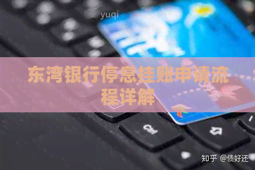东湾银行停息挂账申请流程详解