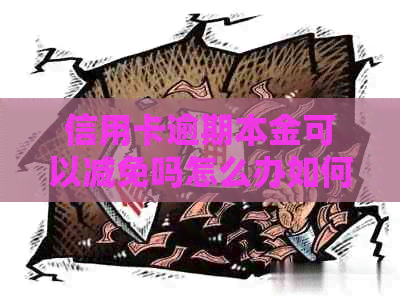 信用卡逾期本金可以减免吗怎么办如何处理