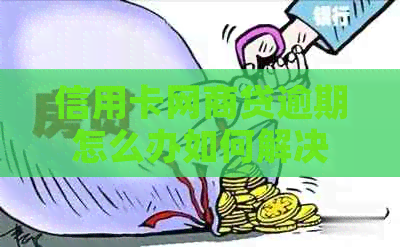 信用卡白条贷逾期怎么办如何解决