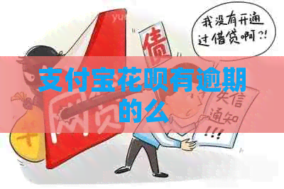 信用卡白条有逾期的么