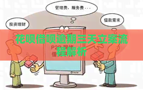 白条信用卡逾期三天立案流程解析