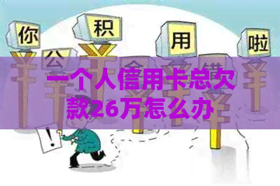一个人信用卡总欠款26万怎么办