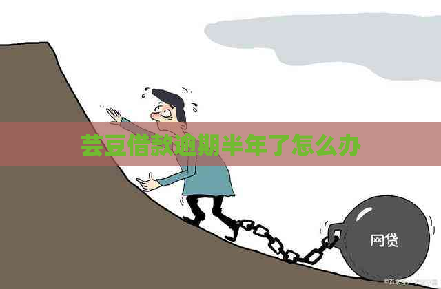 芸豆借款逾期半年了怎么办