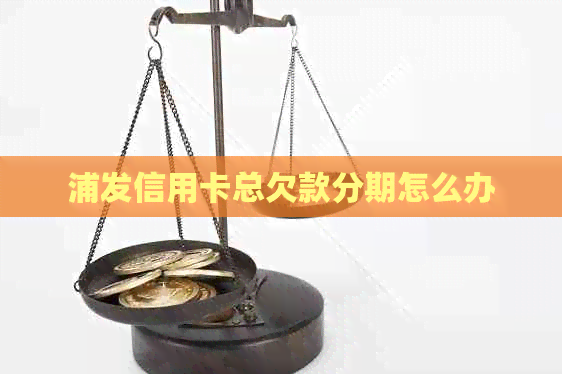 浦发信用卡总欠款分期怎么办
