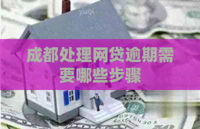 成都处理网贷逾期需要哪些步骤