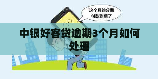 中银好客贷逾期3个月如何处理