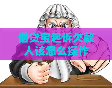 借贷宝起诉欠款人该怎么操作