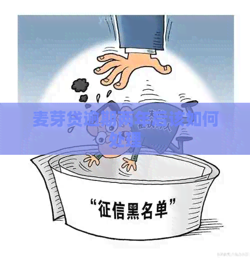 麦芽贷逾期两年后该如何处理