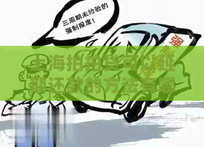 上海可以延期还款的方法有哪些