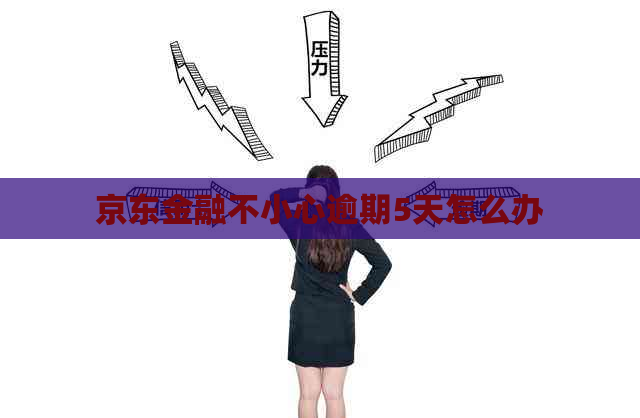 京东金融不小心逾期5天怎么办