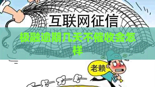 极融逾期几天不会怎样