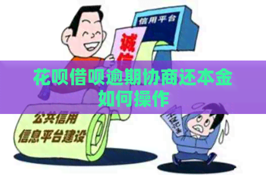 白条信用卡逾期协商还本金如何操作