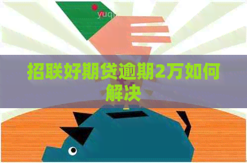 招联好期贷逾期2万如何解决