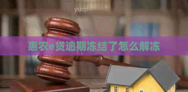 惠农e贷逾期冻结了怎么解冻