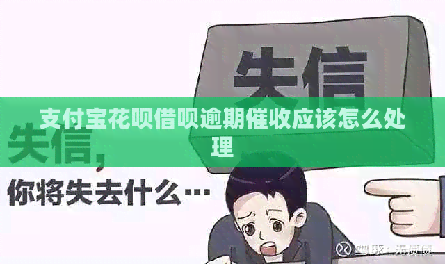 信用卡白条信用卡逾期应该怎么处理