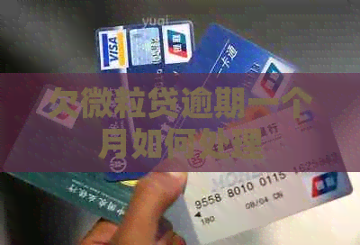 欠微粒贷逾期一个月如何处理