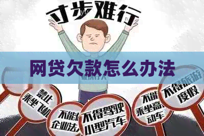 网贷欠款怎么办法
