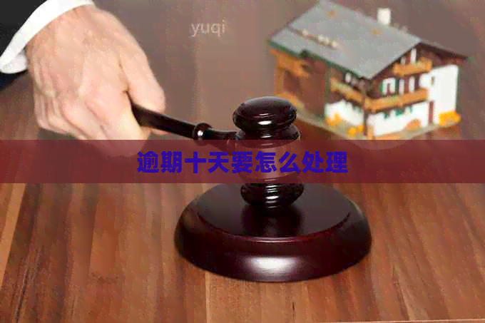 逾期十天要怎么处理