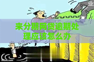 来分期网贷逾期处理应该怎么办