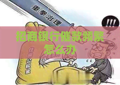 招商银行催款频繁怎么办