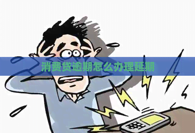 消费贷逾期怎么办理延期