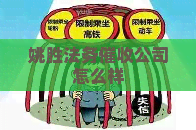 姚胜法务公司怎么样
