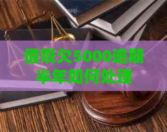 信用卡欠5000逾期半年如何处理
