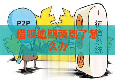 信用卡逾期两周了怎么办