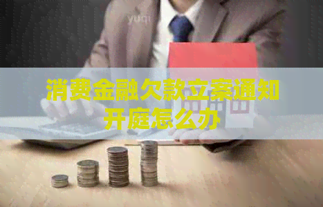 消费金融欠款立案通知开庭怎么办