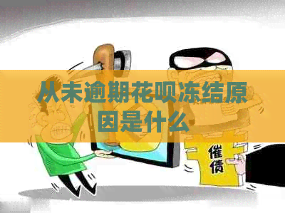 从未逾期白条冻结原因是什么