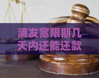 浦发宽限期几天内还能还款