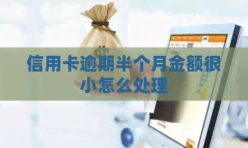 信用卡逾期半个月金额很小怎么处理