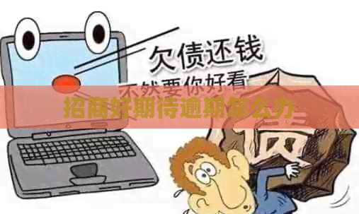 招商好期待逾期怎么办