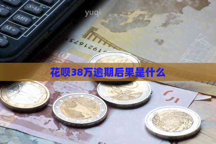 白条38万逾期后果是什么