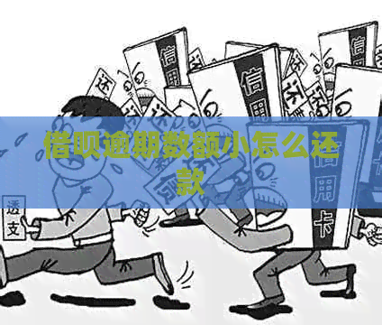 信用卡逾期数额小怎么还款