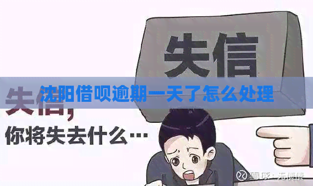 沈阳信用卡逾期一天了怎么处理
