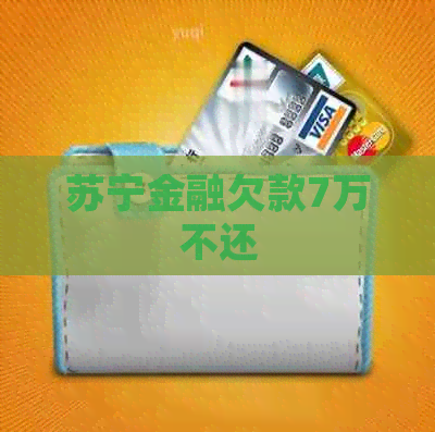 苏宁金融欠款7万不还