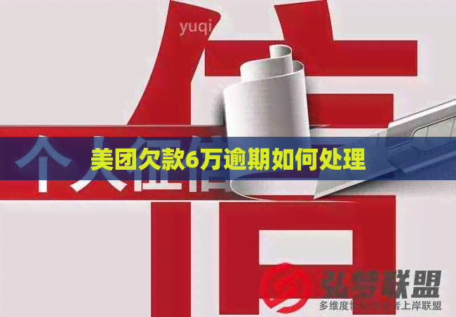 美团欠款6万逾期如何处理