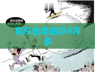 京东金条逾期4万多