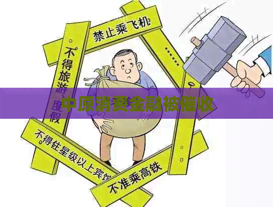 中原消费金融被